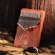 Калімба Hluru KY17 Zambian Padauk (17 язичків, замбийский падук), кейс, п'єзозвукознімач - зображення 3