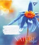 Набор тетрадей для записей YES Nature Colorful А5 96 листов в линию 5 шт (767181) - изображение 5