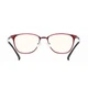 Комп'ютерні окуляри TS Turok Steinhardt Computer Glasses Bordo - зображення 4