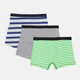 Трусы (3шт) Basic Collection L серый, салатово синий 14380929401 - изображение 2