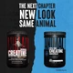 Креатин Animal Micronized Creatine, 500 грамм Universal Nutrition (2000002882664) - изображение 2