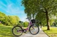 Велосипед городской Corso Travel 26" рама 16.5" розовый TR-1096 - изображение 10