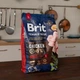 Сухой корм Brit Premium Dog Adult L для взрослых собак больших пород, с курицей, 3 кг - изображение 6