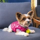 Бомбер Pet Fashion Grace для собак S - изображение 4