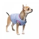 Бомбер Pet Fashion Spike для собак XS - изображение 2