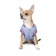 Бомбер Pet Fashion Spike для собак XS - изображение 3
