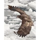 Картина по номерам Величие полета орла. Птицы 40*50 см Art Craft 11507-AC - изображение 1