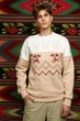 Чоловічий бежевий світшот Грудень 3 3XL UKRS-9977 UkrGlamour - изображение 1