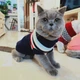Вязаный акриловый свитер для собак Pet Style "Синяя с полосами" XS - изображение 5