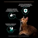 Вологий корм Purina Pro Plan з яловичиною та куркою для стерилізованих котів 7+3 паучі по 85 г - зображення 3