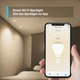 Розумний LED-прожектор TP-Link Tapo L610 Wi-Fi / 350 Лм / GU10 Білий - зображення 4