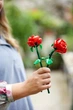 Конструктор Лего Иконик Розы Lego Iconic Roses 40460 - изображение 10