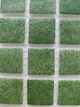 Мозаика из стекла AquaMo PW25214 Olive 25x25x4 (317x317) мм глянцевая на сетке - изображение 1