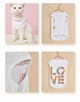 Майка для котів Pet Style "Love" Біла XS - зображення 5
