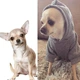 Худи для котов и кошек Pet Style "Security" Серый M - изображение 2