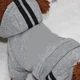 Спортивный костюм для котов и кошек Pet Style "Adidog" Серый XL - изображение 2