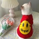 Свитер для котов и кошек Pet Style "Smile" Красный XL - изображение 2