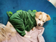 Костюм комбінезон для собак Pet Style "Діно" Зелений 2XL - зображення 3