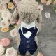 Костюм для котов Pet Style "Джентельмен" Синий XS - изображение 4