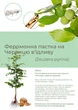 Феромонная ловушка на древесницу въедливую (ловушка + феромон) - изображение 1