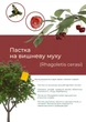 Феромонная ловушка на вишневую муху (ловушка + феромон) - изображение 1