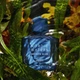 Чоловіча парфумована вода oriflame Nordic Waters Infinite Blue (Нордік Уотерс Інфініт блю),75мл - зображення 3