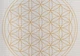Килимок для йоги Bodhi Leela Flower of Life срібна хмара 183x60x0.45 см - зображення 2
