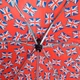 Парасолька жіноча Incognito-4 L412 Union Jack Flags Прапори (L412-037034) - изображение 6