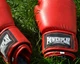 Боксерські рукавиці PowerPlay 3004 Classic Червоні 12 унцій - изображение 11