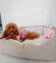 Лежак для собак лежанка для собак и кошек спальное место для животных съемный чехол с бортами 65х45х18 см Incor Бежевый (Donut3) - изображение 5