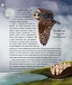 Такі, як ми. Про тварин та їхні характери. Час Майстрів - зображення 8