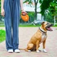 Поводок-рулетка для собак WAUDOG R-leash с контейнером для пакетов, светоотражающая лента, L, до 40 кг, 5 м, оранжевый - изображение 8