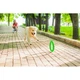 Кільце для апортировки PitchDog 20 см салатовий композитний полімер для собак іграшка для ігор (591154) - зображення 4