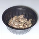 Аргентинские тараканы ( Blaptica Dubia ) - Живые кормовые насекомые для рептилий, птиц, ежей, гекконов, насекомоядных животных 0,5-1 см 50 шт - изображение 3