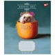 Набор тетрадей 48л. линия YES Animal art, уп.10шт. (767122) - изображение 6