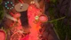 Ключ активации SpongeBob SquarePants: Bundle для Xbox One/Series S/X - изображение 7