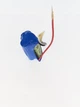 Аккумулятор Ni-MH 3.6V 1100mAh ААА Bossman-Profi Треугольник - изображение 1
