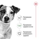 Корм Royal Canin Mini Adult сухой для собак мелких пород 4 кг - изображение 2