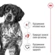 Royal Canin Medium Adult сухой корм для взрослых собак средних пород 15 кг - изображение 2