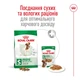 Корм Royal Canin Mini Adult сухой для собак мелких пород 4 кг - изображение 6