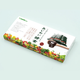 SEEDCOMS Ajiwai Enzyme комплекс з живими ферментами 31 стік - изображение 1
