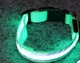 Ошейник для собак и котов для вечерних прогулок с USB зарядкой Зеленый - изображение 3
