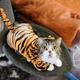 Толстовка для собак и кошек "TIGER" Size S - изображение 7