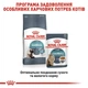 Сухий корм для котів Royal Canin Hairball Care 400 г (3182550721394) (2534004) - зображення 6