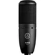 Микрофон AKG P120 Black (3101H00400) - изображение 1