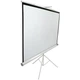 Проекционный экран Elite Screens T113NWS1 - изображение 2
