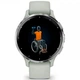 Смарт-часы GARMIN Venu 3S Silver S. Steel Bezel w. Sage Gray Case and S. Band (010-02785-01) - изображение 6