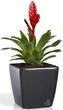 Вазон Plastkon Quadrato Flower Lover 22x22x21 см Антрацит (4820002386560) - изображение 3