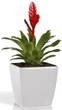 Вазон Plastkon Quadrato Flower Lover 25x25x24 см Белый (4820002386577) - изображение 2