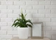 Вазон Plastkon Quadrato Flower Lover 25x25x24 см Белый (4820002386577) - изображение 4